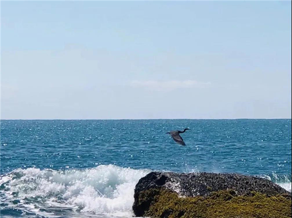 微信圖片_20210307113113