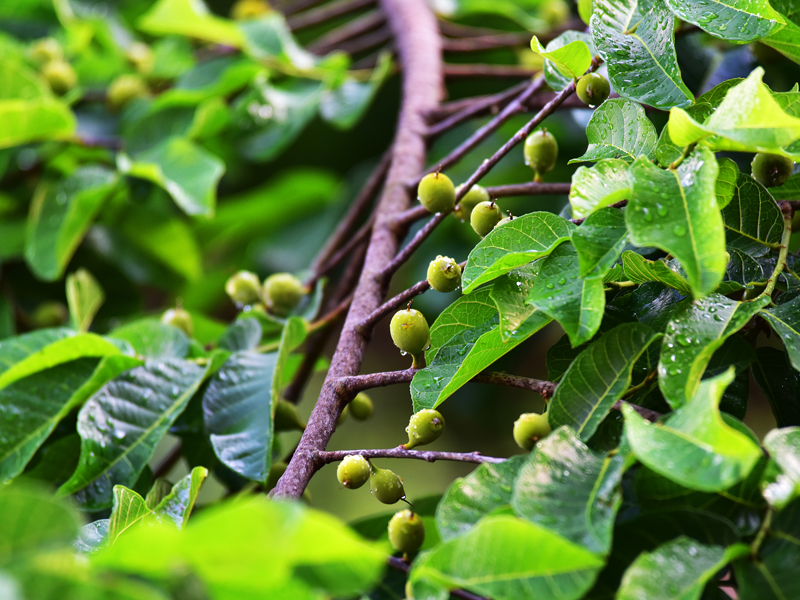 微信圖片_20210412150028