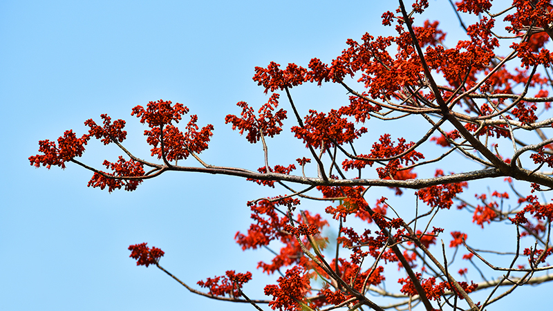 微信圖片_20210427112507