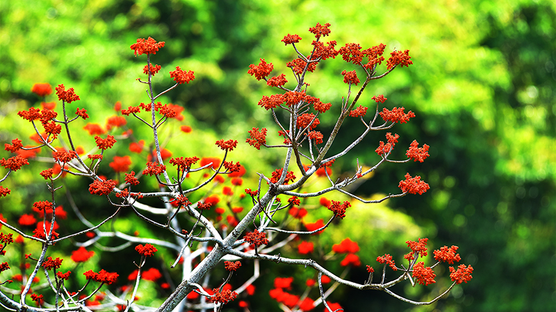 微信圖片_20210427112516