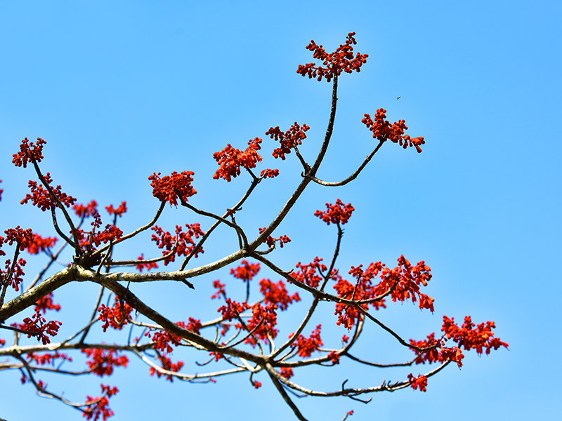 微信圖片_20210427112629