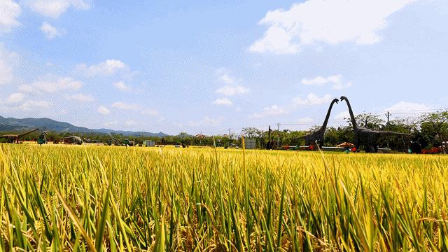 微信圖片_20210430184050