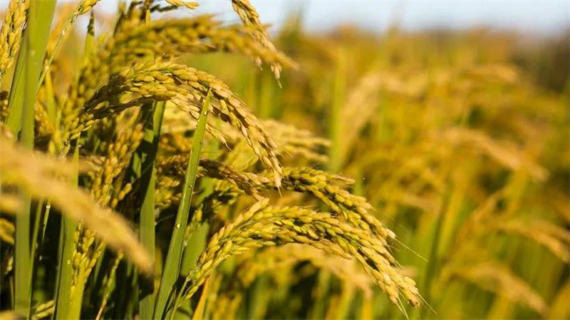 微信圖片_20210430184115