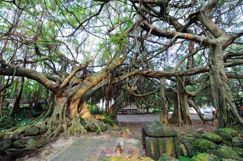 微信圖片_20210517094708