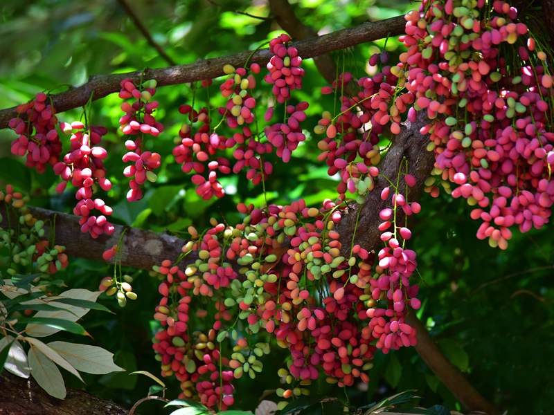 微信圖片_20210622164137