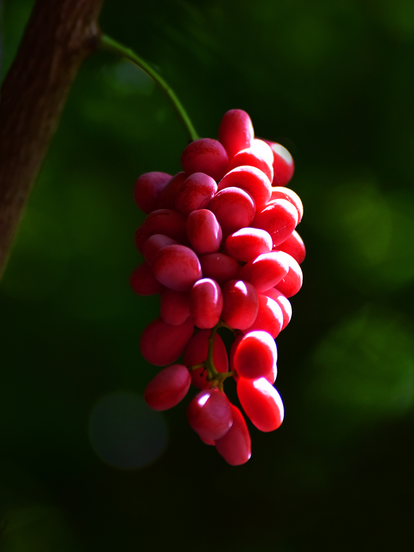 微信圖片_20210622164155