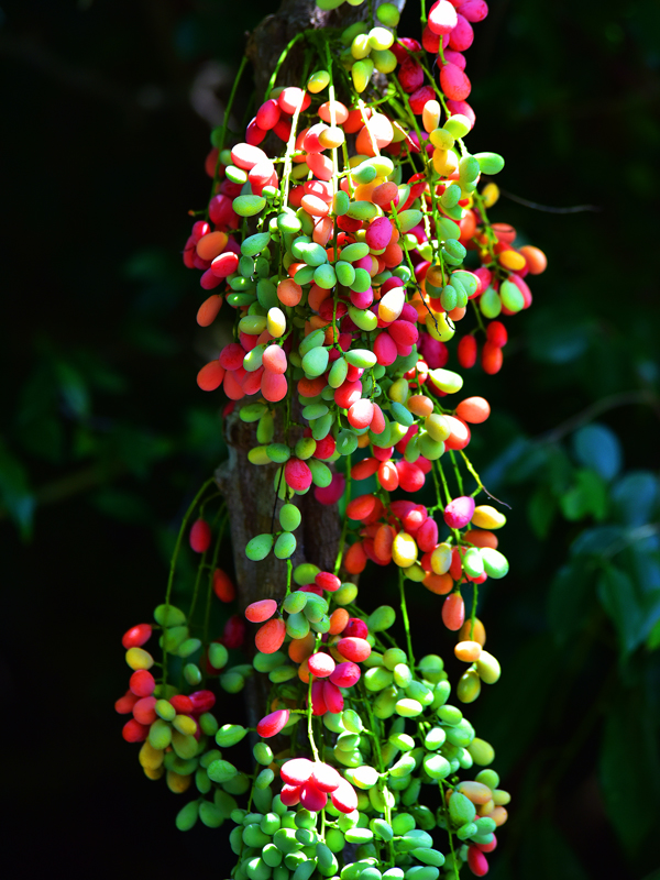 微信圖片_20210622164159