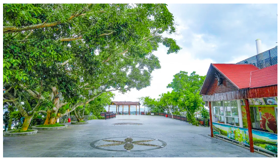 微信截圖_20210819085529