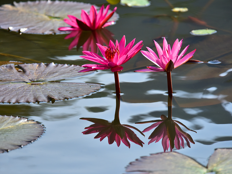 微信圖片_20220113105226