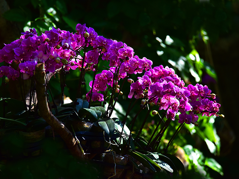 微信圖片_20220113105215