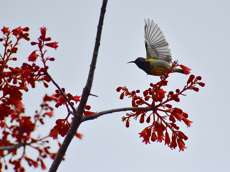 微信圖片_20220505172552