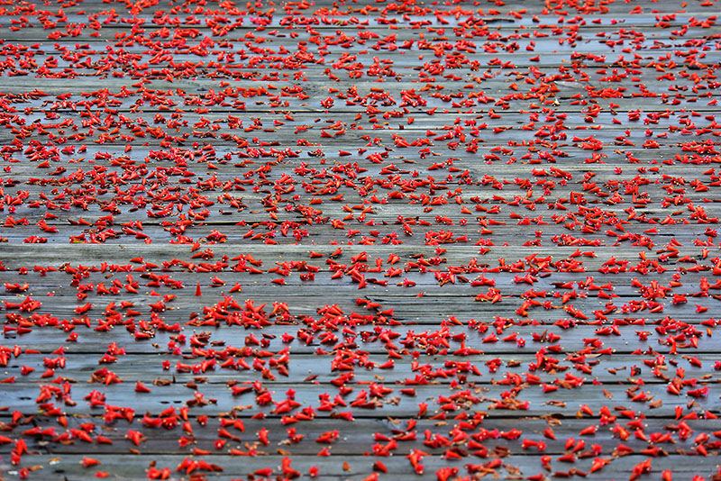 微信圖片_20220505172622