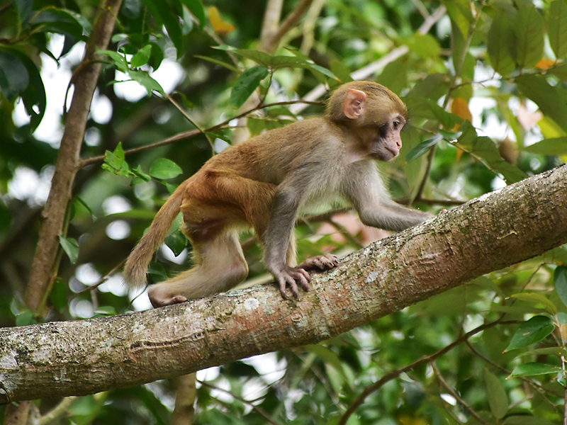 20230403100040_21609