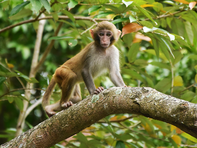 20230403095850_66661