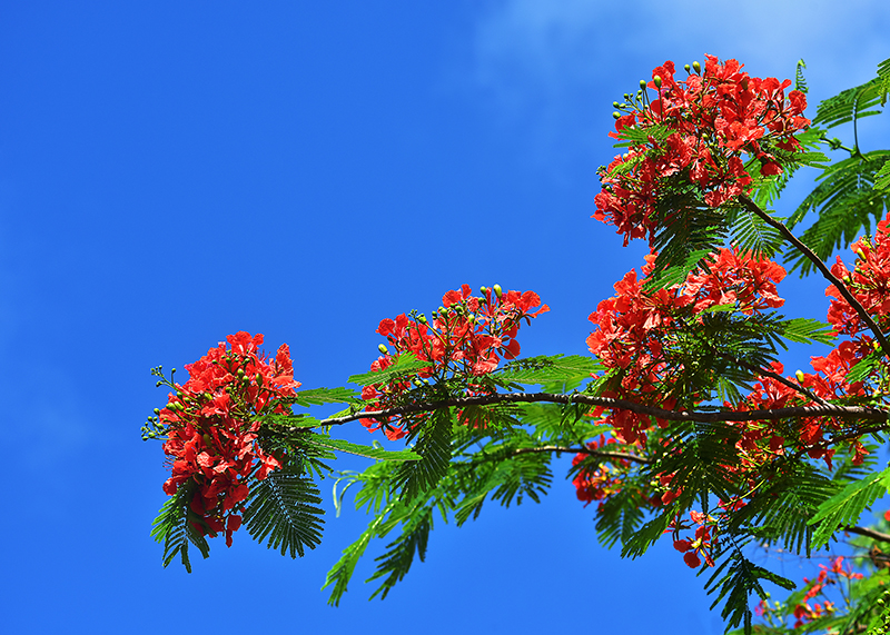 20230605143959_35458