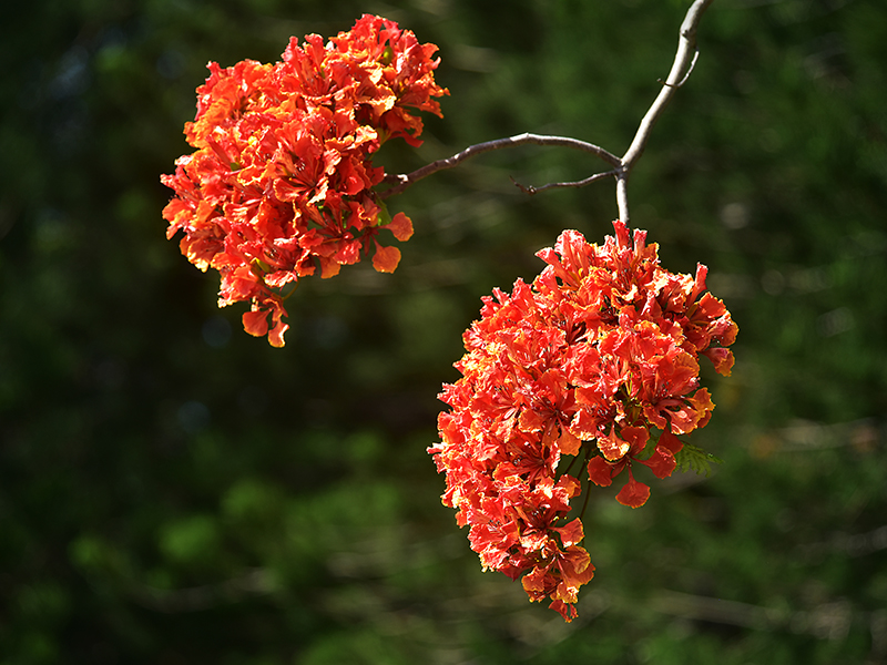 20230605143923_53879