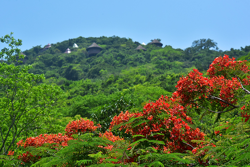 20230605143805_45656