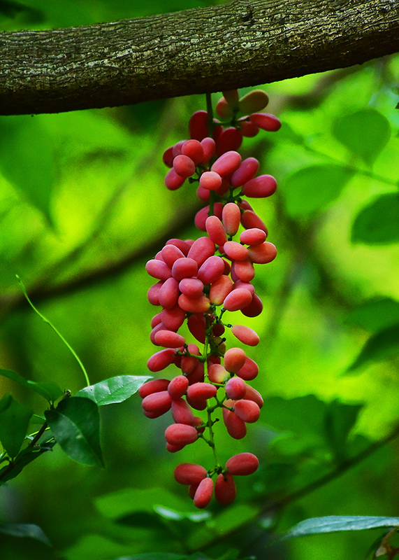 20230606154151_97493