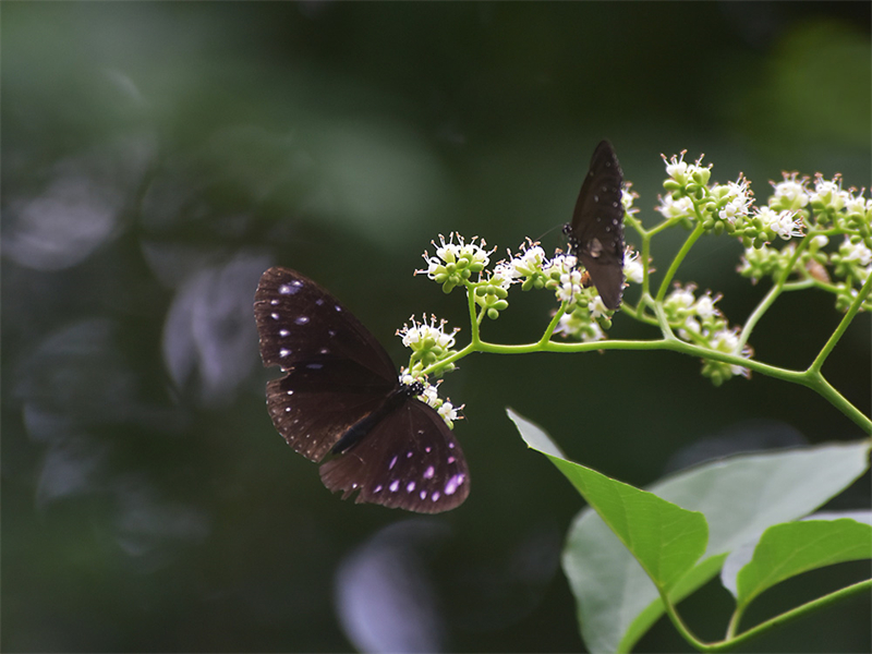 20231117100638_34799