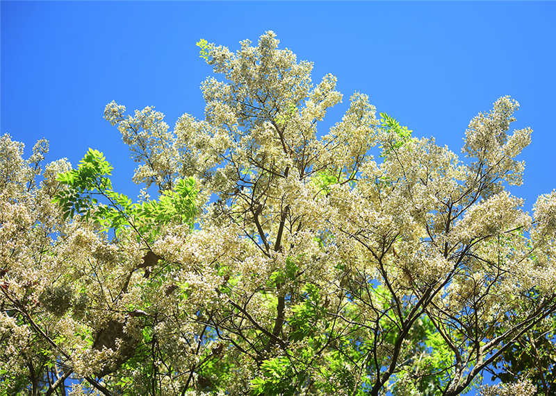 20240227171614_32817