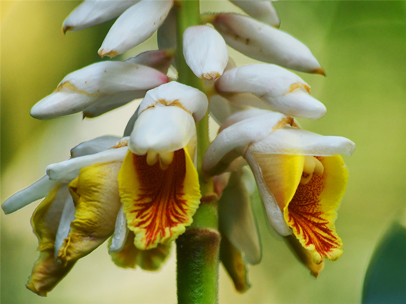 20240227171704_44765