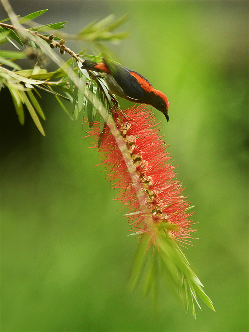 20240313220202_54919