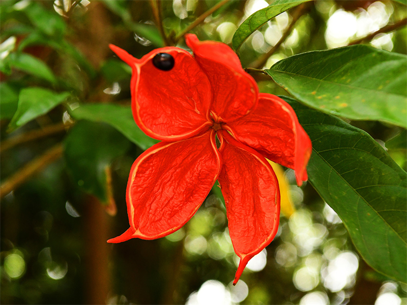 20240612232319_60489