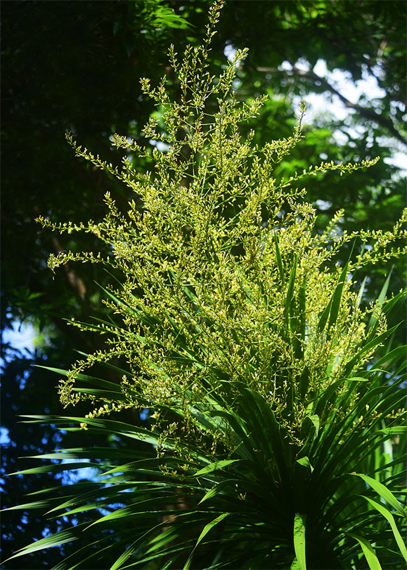 20240612232213_35417