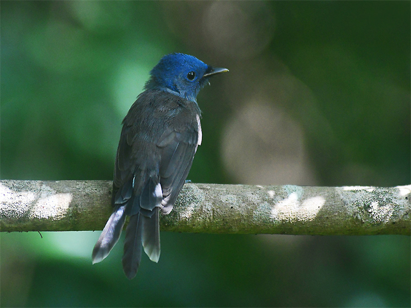 20240815165229_12817