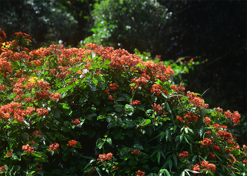 20240826165920_72753