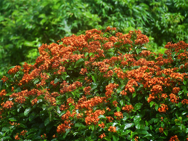 20240826165344_66254