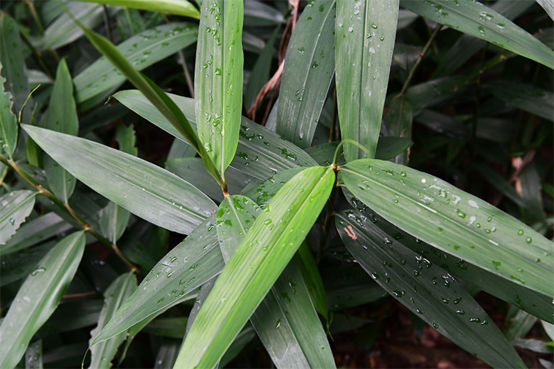 20241231170254_30570