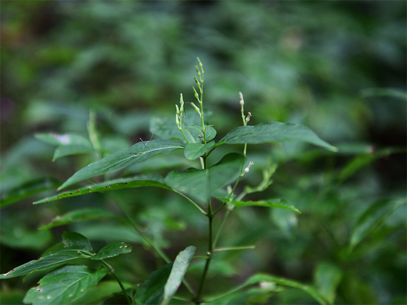 20241231165951_40690