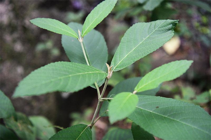 20241231165846_75748