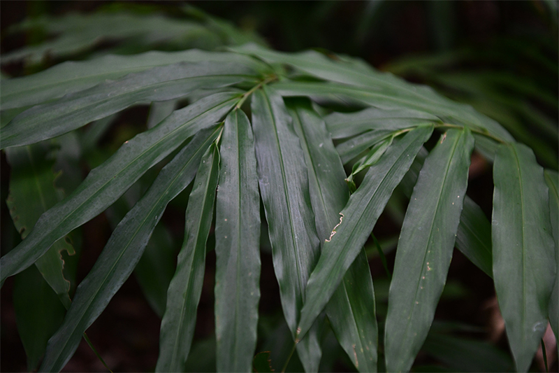 20241231165229_83229