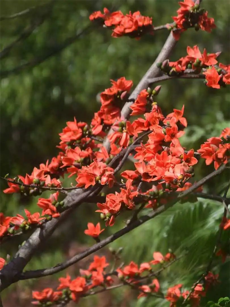 微信圖片_20250221204006