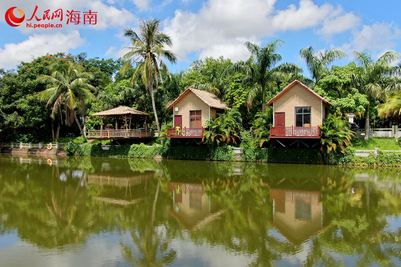 澄邁縣金江鎮(zhèn)塘口村水韻田園休閑農(nóng)莊鄉(xiāng)村旅游點(diǎn)。 人民網(wǎng) 孟凡盛攝