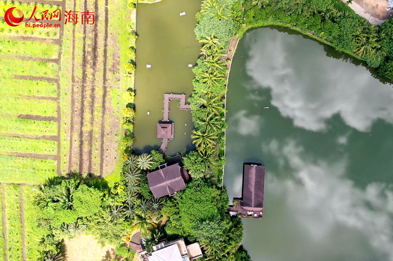 澄邁縣金江鎮(zhèn)塘口村水韻田園休閑農(nóng)莊鄉(xiāng)村旅游點(diǎn)。 人民網(wǎng) 孟凡盛攝